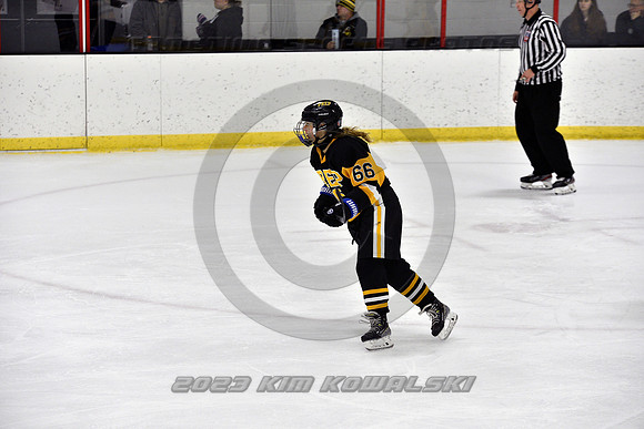 _GSP9914 (Copy)