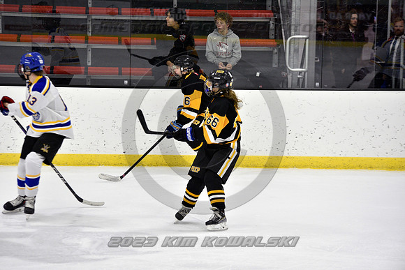 _GSP9917 (Copy)