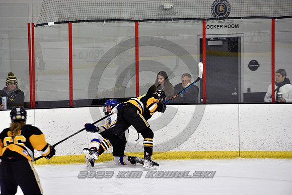 _GSP9923 (Copy)