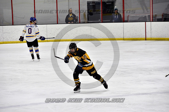 _GSP9935 (Copy)