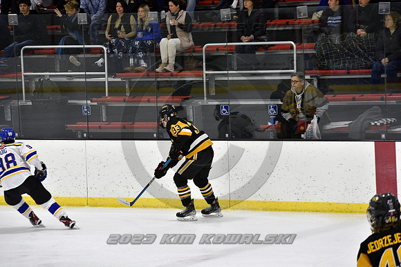 _GSP9933 (Copy)