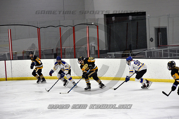 _GSP9930 (Copy)