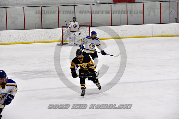 _GSP0004 (Copy)