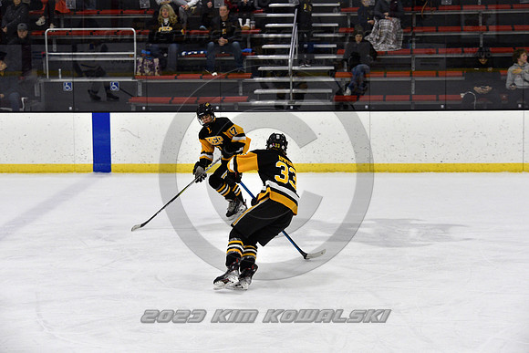 _GSP0008 (Copy)