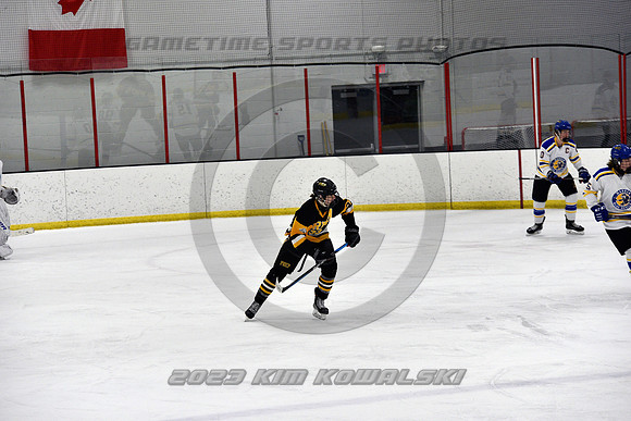 _GSP0010 (Copy)