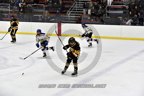_GSP0015 (Copy)