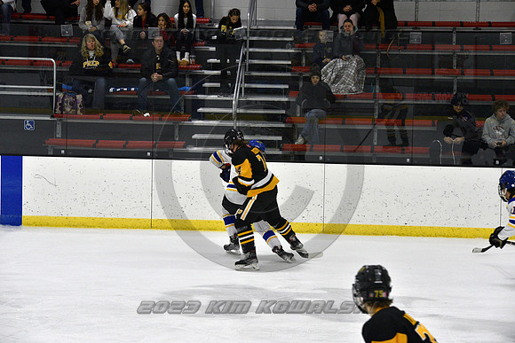 _GSP0014 (Copy)