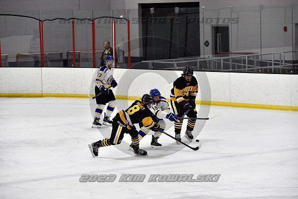 _GSP0021 (Copy)