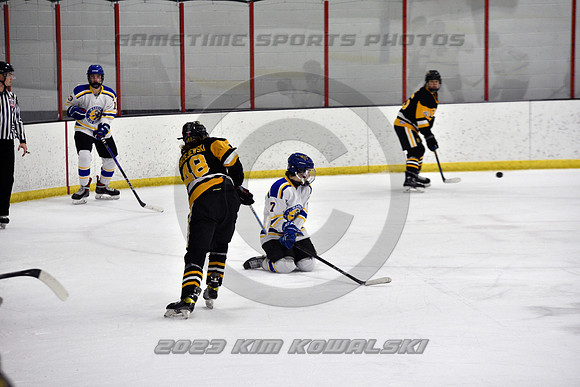 _GSP0030 (Copy)