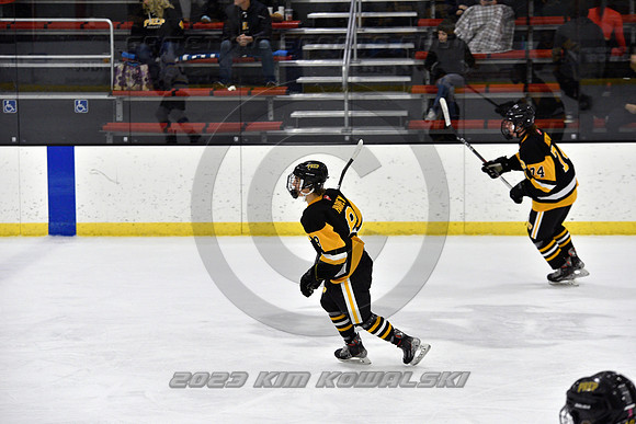 _GSP0033 (Copy)
