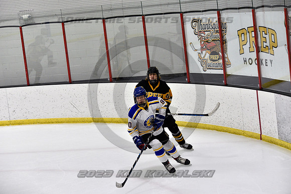 _GSP0046 (Copy)