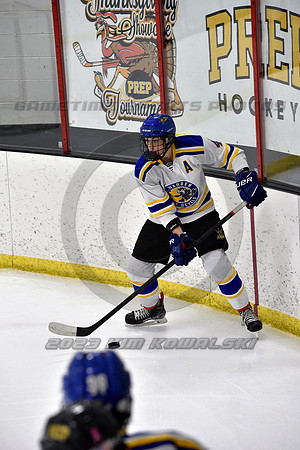 _GSP0073 (Copy)