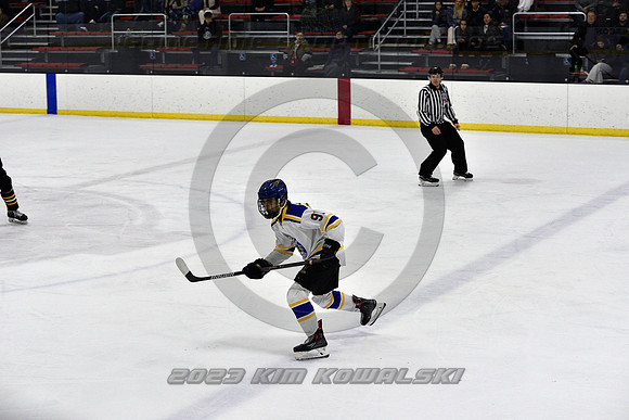 _GSP0080 (Copy)
