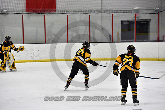 _GSP0081 (Copy)