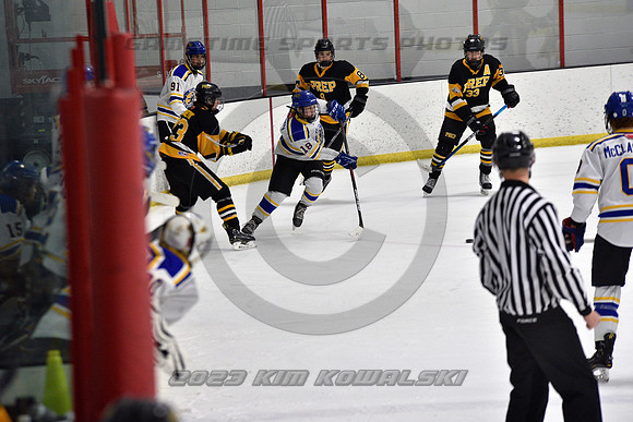 _GSP0082 (Copy)