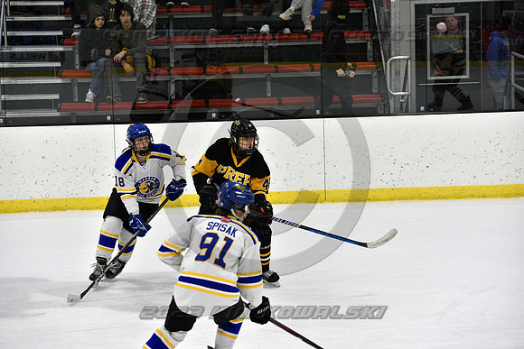 _GSP0098 (Copy)