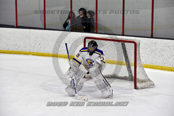 _GSP0100 (Copy)