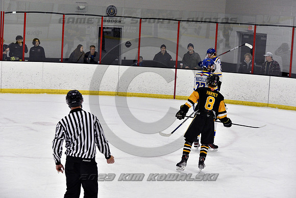 _GSP0115 (Copy)
