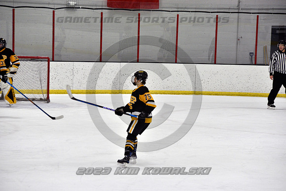 _GSP0130 (Copy)