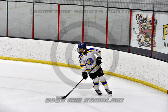 _GSP0133 (Copy)