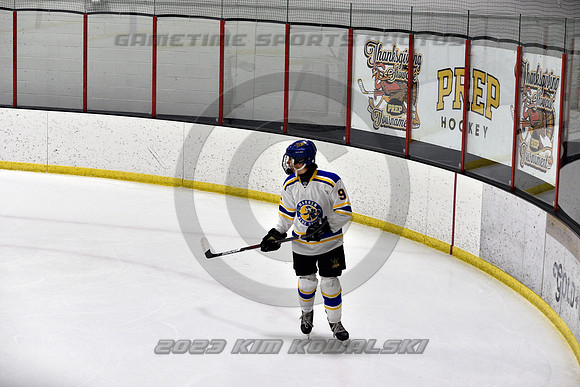 _GSP0134 (Copy)