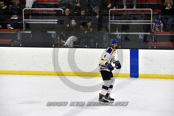_GSP0141 (Copy)