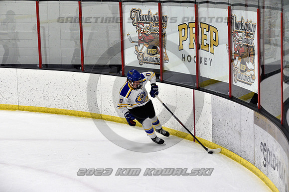 _GSP0166 (Copy)