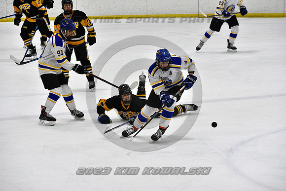 _GSP0171 (Copy)