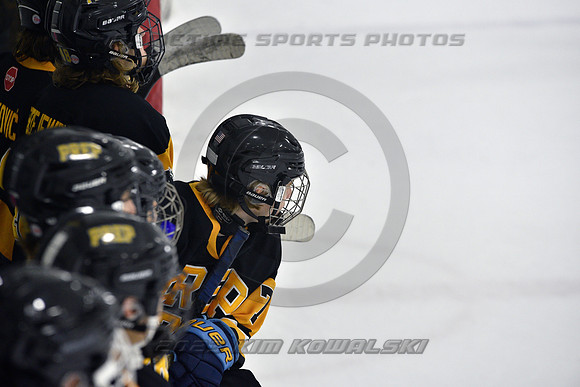 _GSP0173 (Copy)