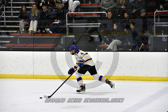 _GSP0181 (Copy)