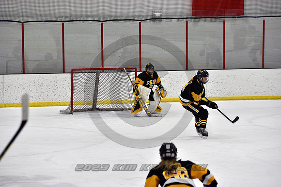 _GSP0185 (Copy)