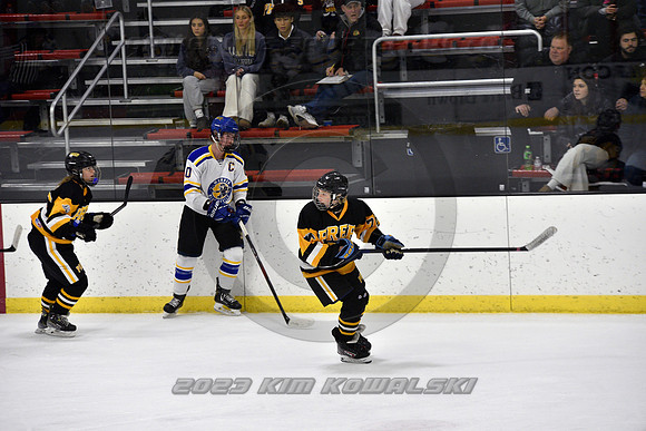 _GSP0195 (Copy)