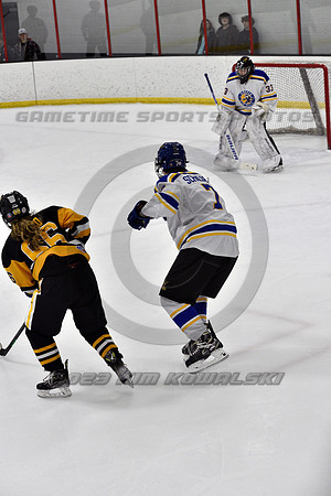_GSP0199 (Copy)