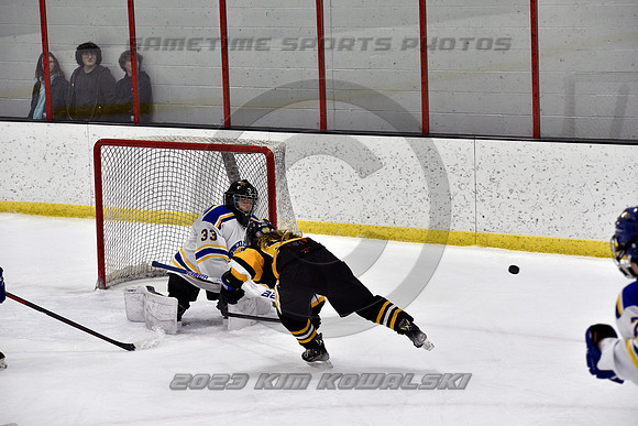 _GSP0210 (Copy)