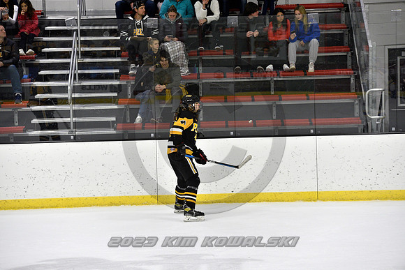 _GSP0213 (Copy)