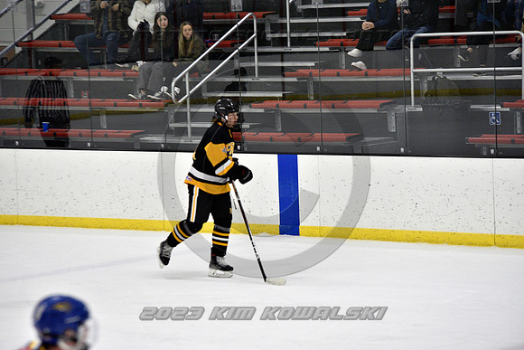 _GSP0225 (Copy)