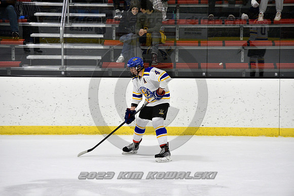 _GSP0229 (Copy)