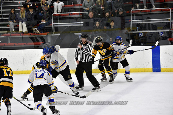 _GSP0230 (Copy)