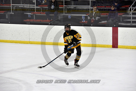 _GSP0233 (Copy)