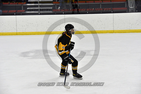 _GSP0237 (Copy)