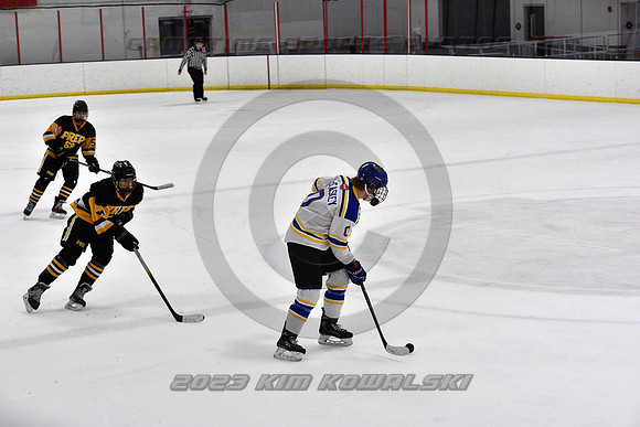 _GSP0251 (Copy)