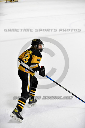 _GSP0255 (Copy)