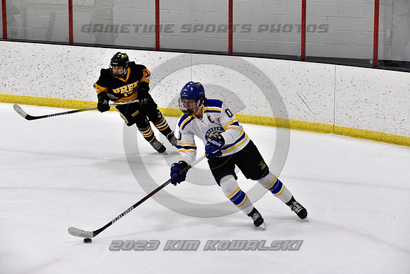 _GSP0257 (Copy)