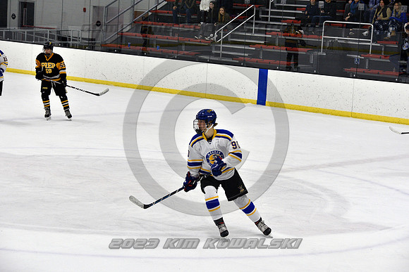 _GSP0264 (Copy)