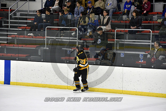 _GSP0267 (Copy)