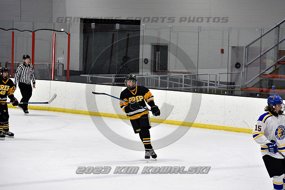 _GSP0271 (Copy)