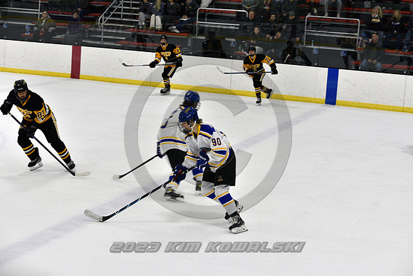 _GSP0273 (Copy)