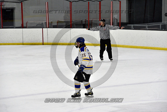 _GSP0275 (Copy)
