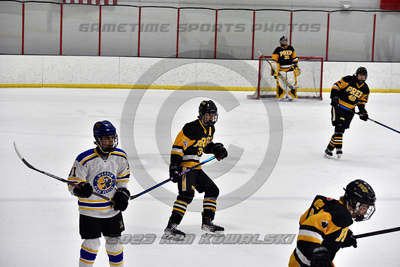 _GSP0294 (Copy)