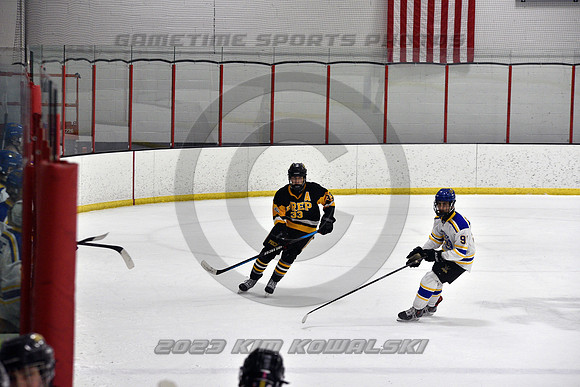 _GSP0293 (Copy)